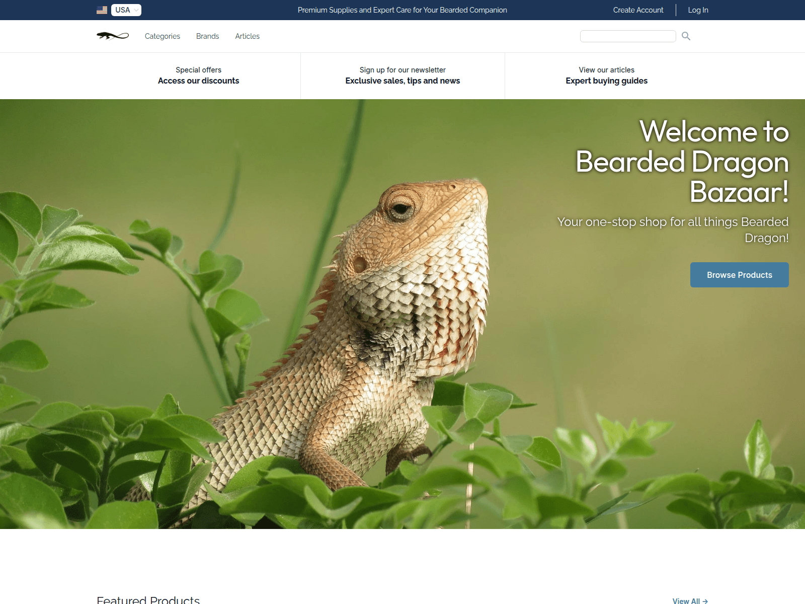 Bearded Dragon Bazaar screenshot