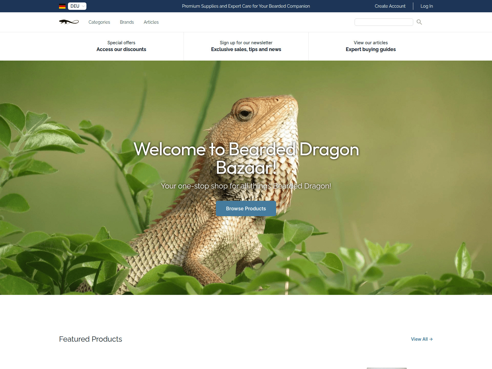 Bearded Dragon Bazaar screenshot