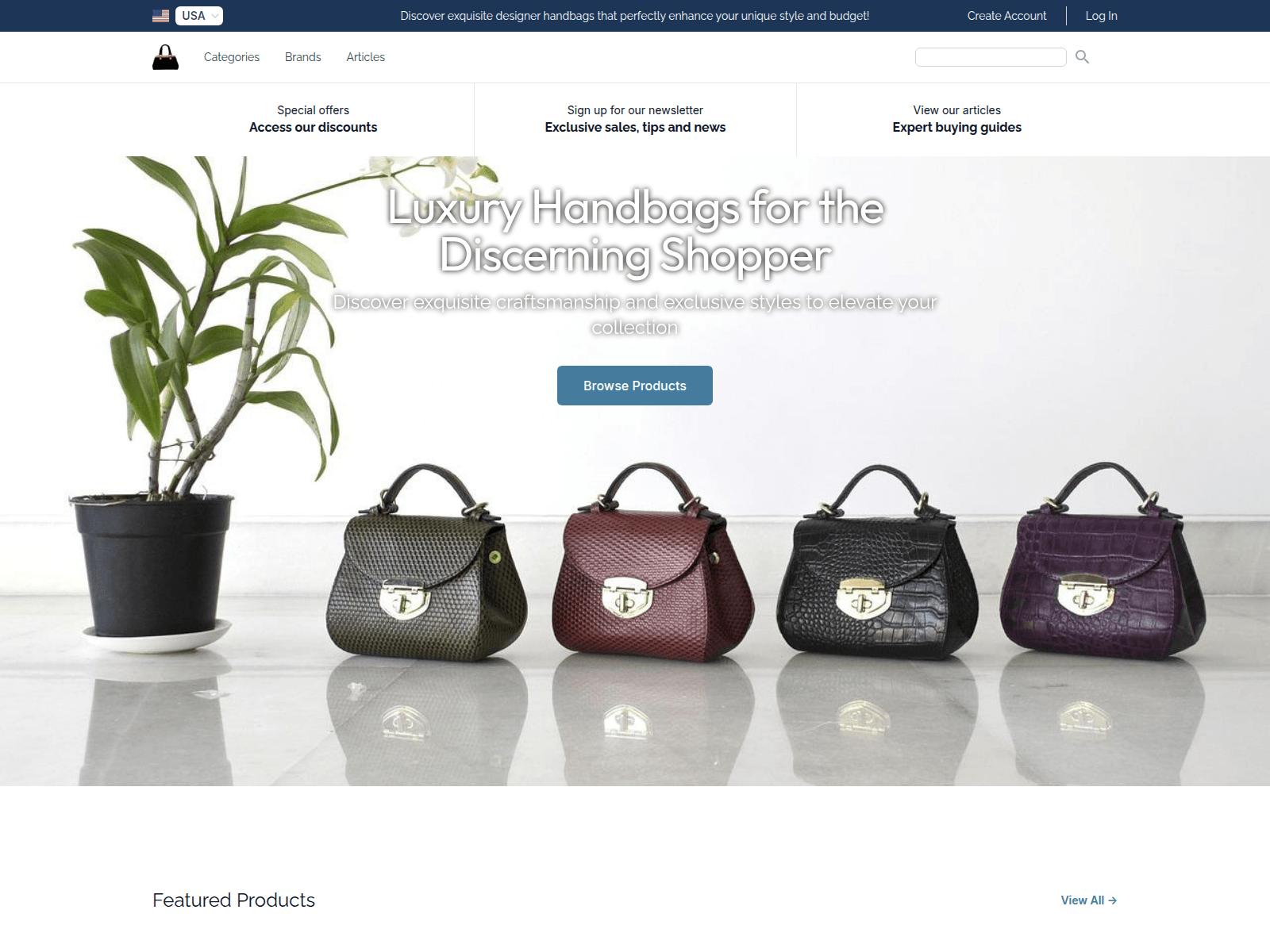 Designer Bag Boutique screenshot