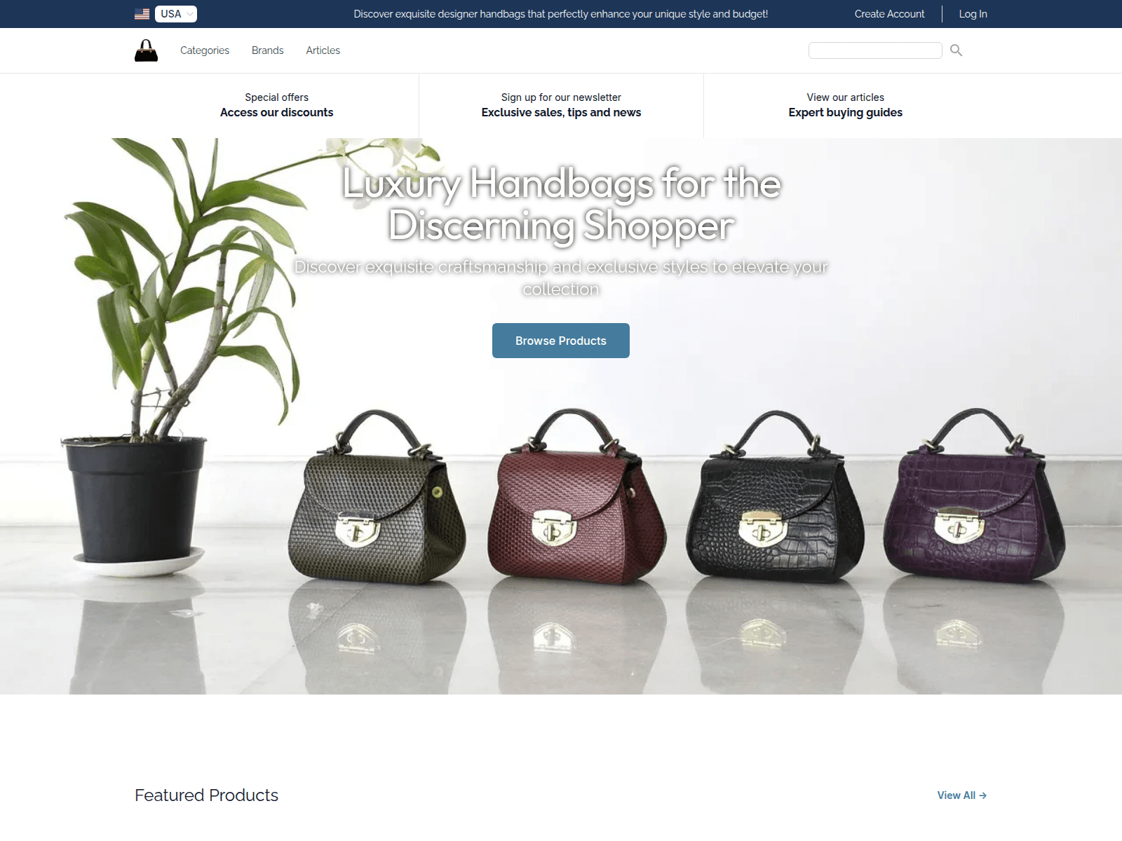Designer Bag Boutique screenshot